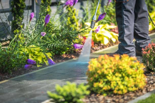 Best Soft Washing  in Carlstadt, NJ