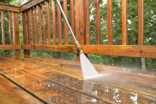 Best Dumpster Area Cleaning  in Carlstadt, NJ
